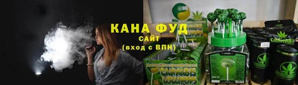 индика Богородск