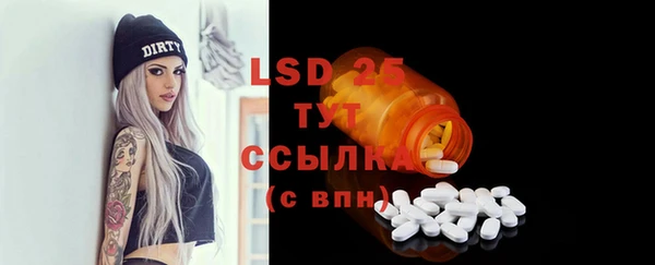 спиды Богородицк