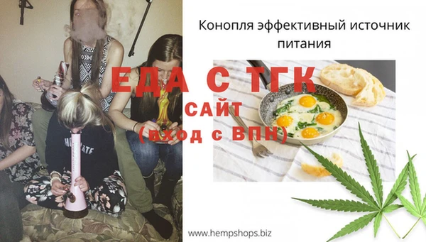 хмурый Бородино