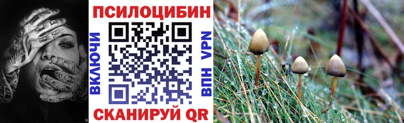 Псилоцибиновые грибы мицелий  даркнет сайт  Бежецк 